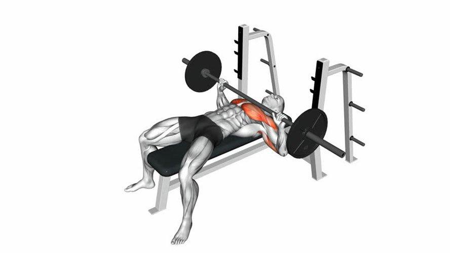 Bench Press là gì? Cách tập Bench Press chuẩn, hiệu quả Nhất