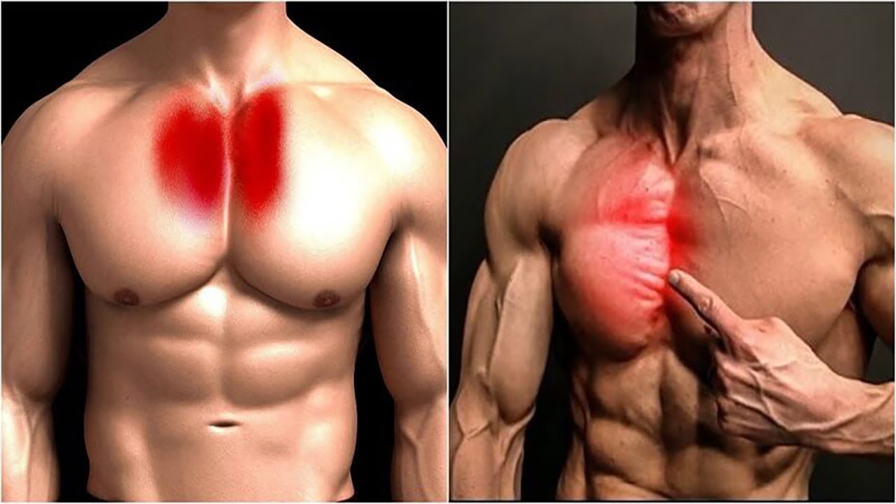Hướng dẫn tập ngực hiệu quả nhất cho dân GYM