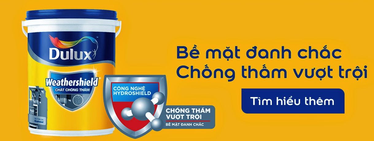 Làm sao để chống dột nhà vệ sinh hữu hiệu.